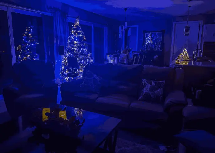 indoor christmas decoration